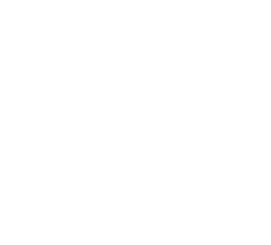 Share VRGO in X