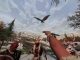 Tamed prehistoric animal companion standing beside a VR player in Neolithic Dawn.